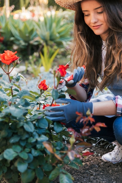 Mooie vrouwelijke tuinman die de roos met snoeischaar snijdt