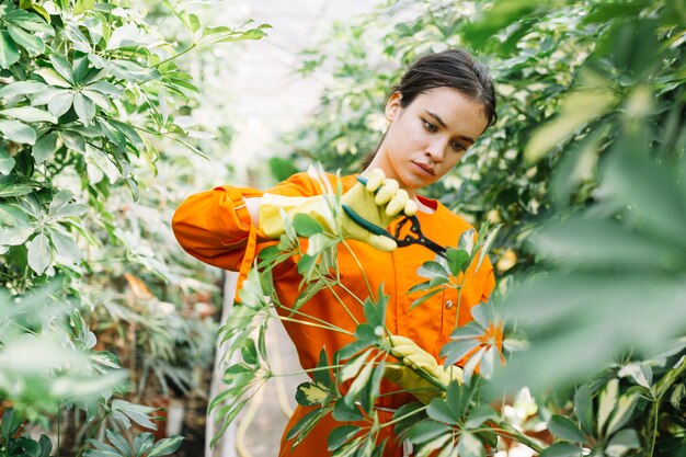 Mooie vrouwelijke tuinman die installaties snoeien met snoeischaar