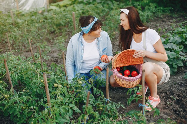 Mooie vrouwen werken in een tuin