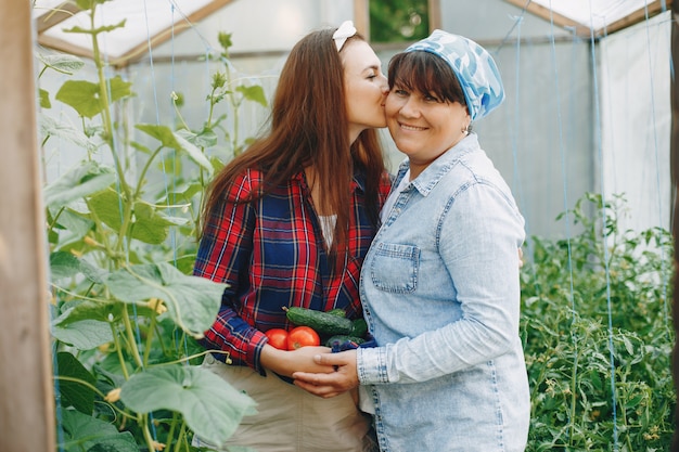 Mooie vrouwen werken in een tuin