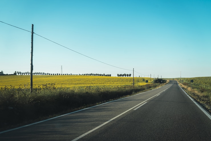 Gratis Foto mooie weg door een met gras begroeid veld en een boerderij vol gele bloemen