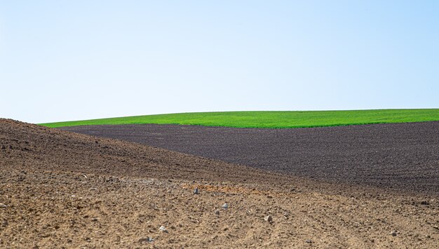 Mooie zwarte aarde velden in Oekraïne. Agrarische landschap