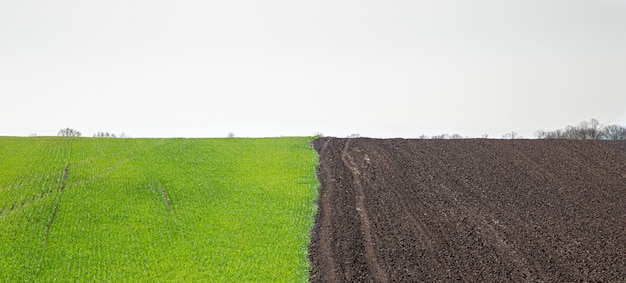 Mooie zwarte aarde velden in Oekraïne. Agrarische landschap