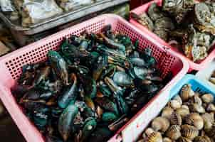 Gratis foto mossel en andere tweekleppig schelpdier in markt