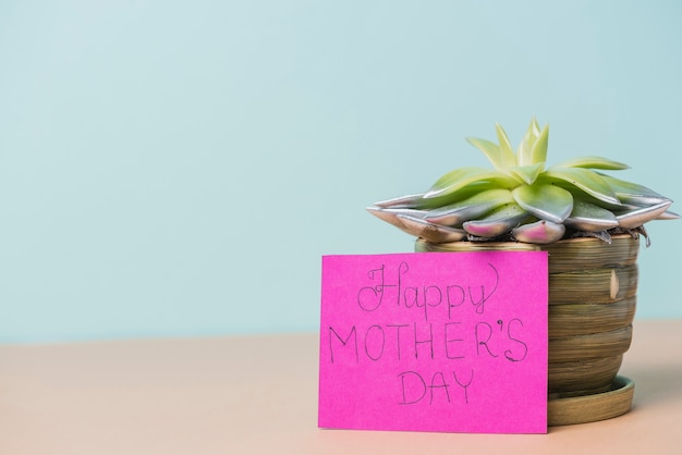 Gratis foto mother's day achtergrond met planten en kaart