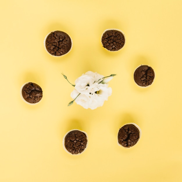 Gratis foto muffins die rond bloem liggen