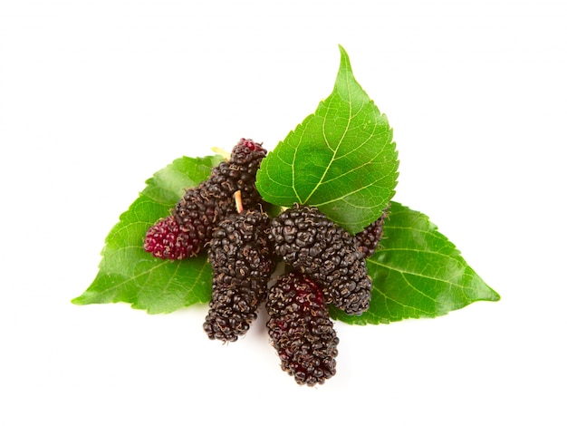 Mulberry met bladeren geïsoleerd op een witte achtergrond