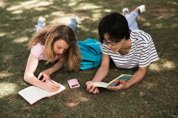 Multiraciale tienerjaren die op gras in park bestuderen