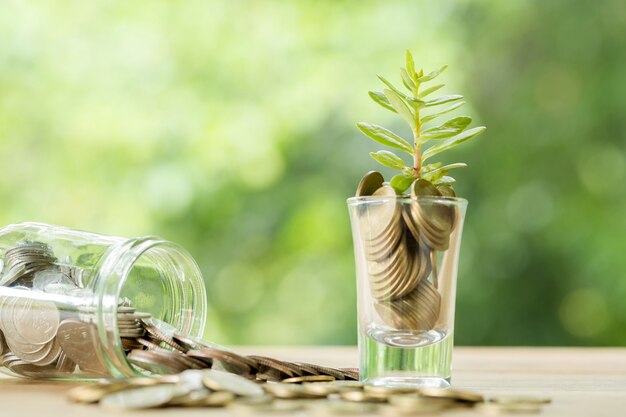 Munten in een glas met een kleine boom