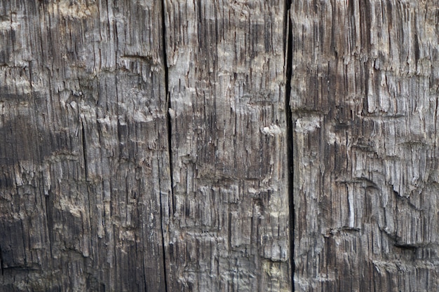 Natuur plank textuur houten macro