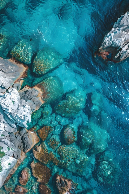 Natuurlandschap met een idyllisch uitzicht op het water