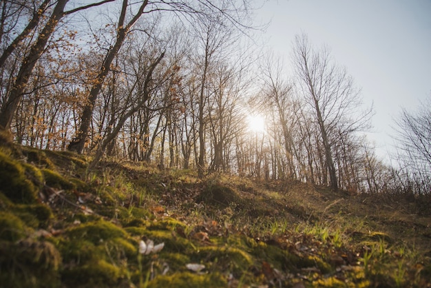 Natuurlijk landschap bij zonsondergang