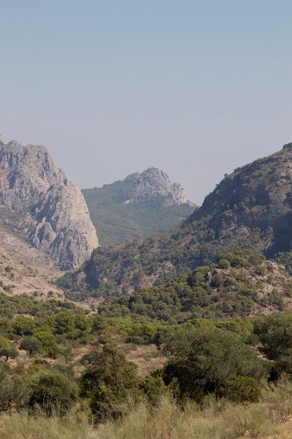 Natuurlijk landschap met bergen