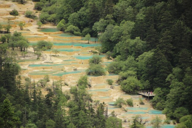 Natuurlijk landschap