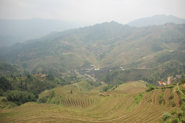 Natuurlijk landschap