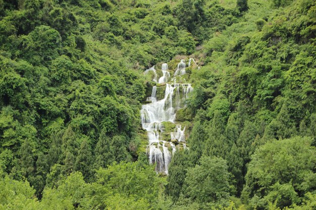 Natuurlijk landschap