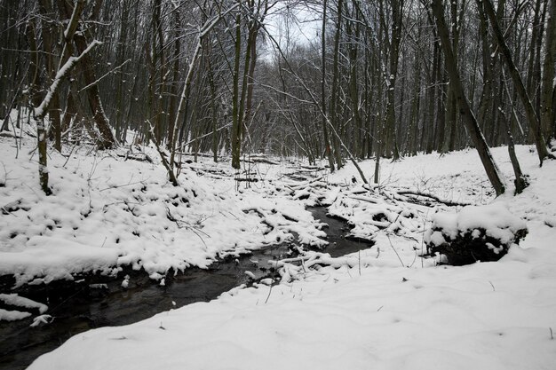 Natuurlijk mooi landschap met rivier