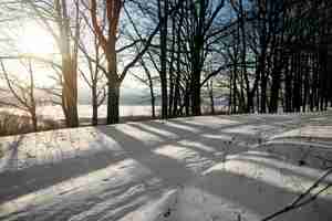 Gratis foto natuurlijk mooi winterlandschap