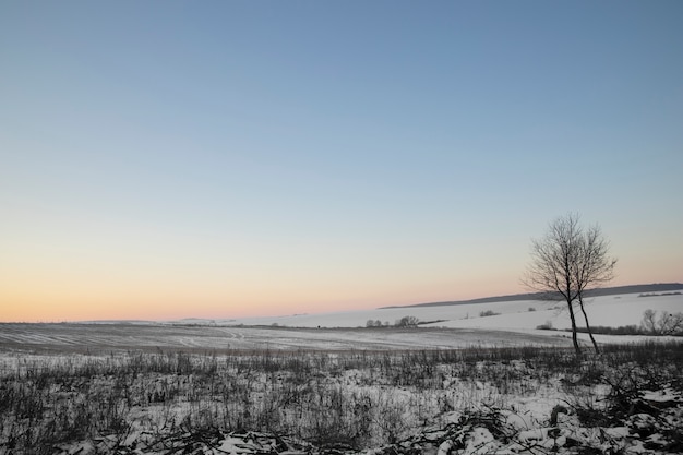 Gratis foto natuurlijk mooi winterlandschap