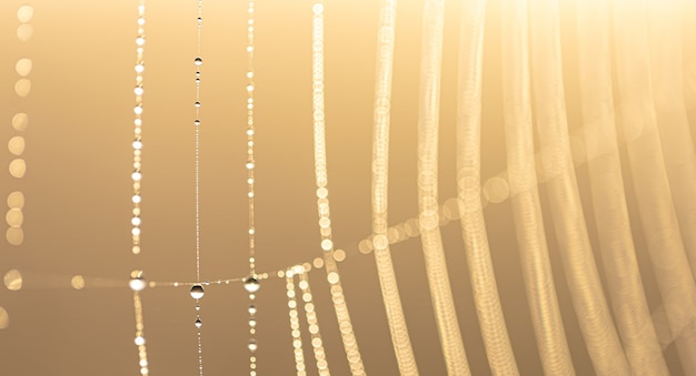 Natuurlijke abstracte achtergrond met kristaldauwdruppels op een spinnenweb in zonlicht met bokeh.