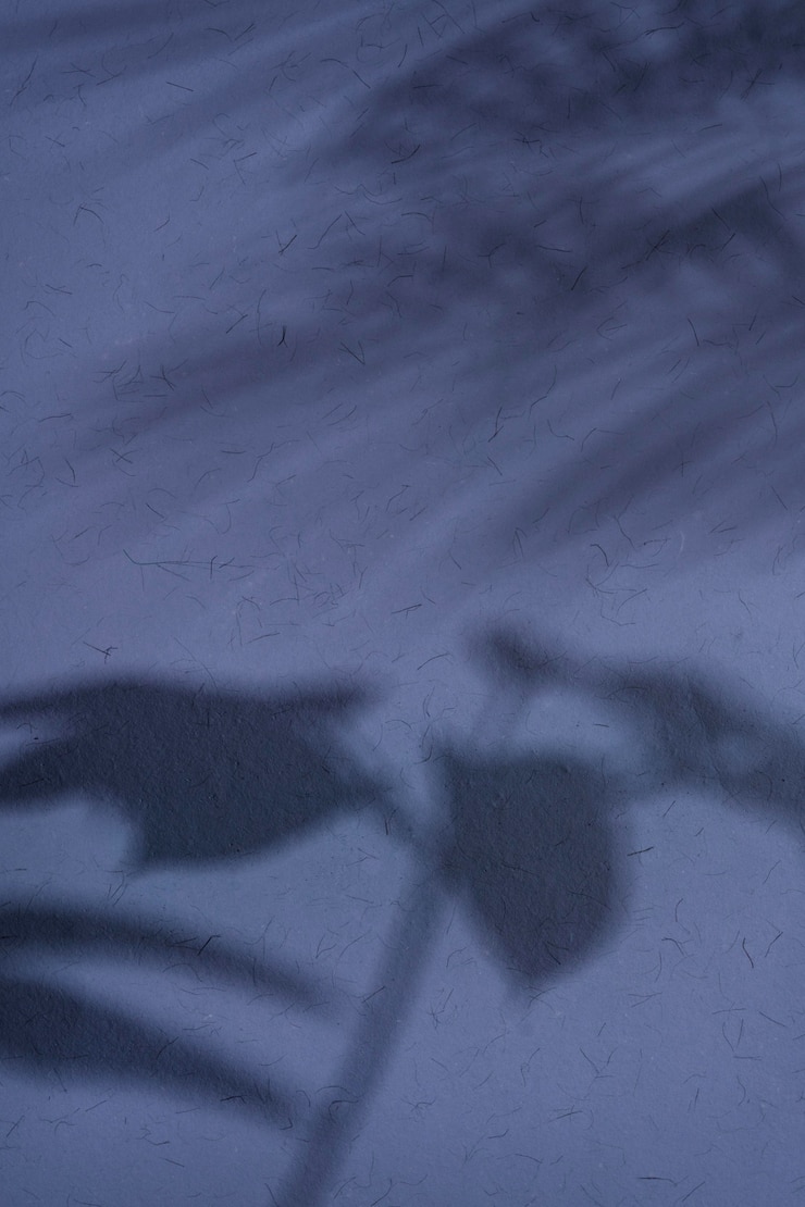 Gratis Foto natuurlijke en abstracte schaduwen