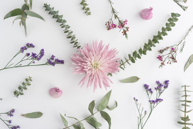 Natuurlijke samenstelling op een witte ondergrond