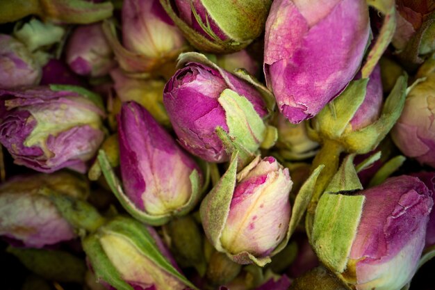 Nauwe weergave gedroogde roze roos