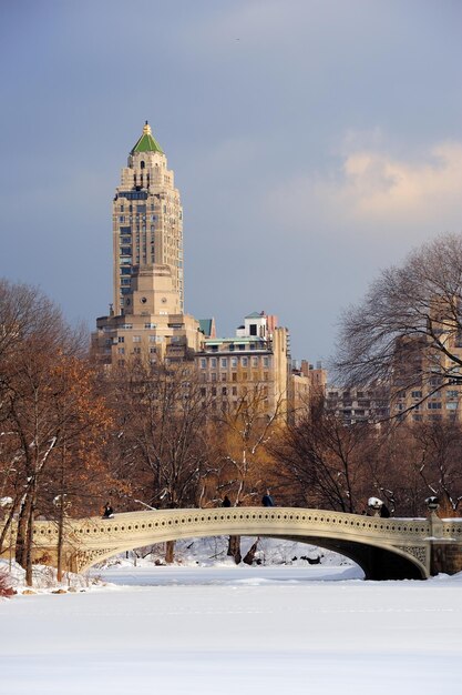 New York City Manhattan Central Park in de winter