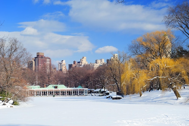Gratis foto new york city manhattan central park panorama
