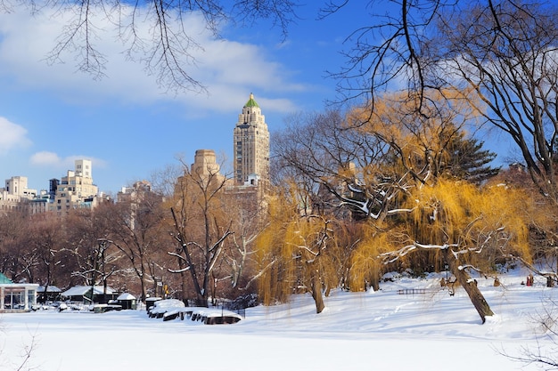 Gratis foto new york city manhattan central park panorama