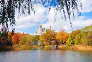 Gratis foto new york city manhattan central park