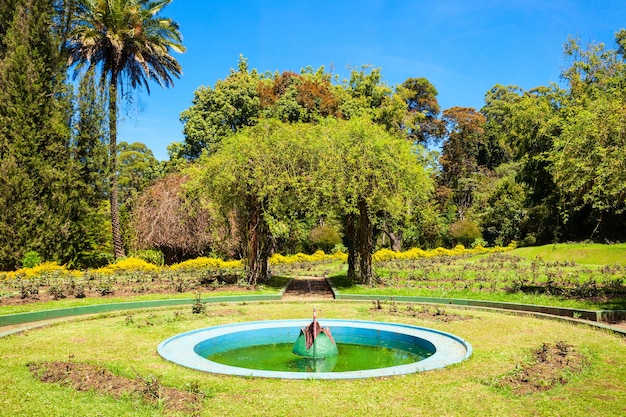 Nuwara eliya, sri lanka - februari 22, 2017: het victoria park is een openbaar park in nuwara eliya, sri lanka. het park werd formeel genoemd in 1897 ter herdenking van koningin victoria. Premium Foto