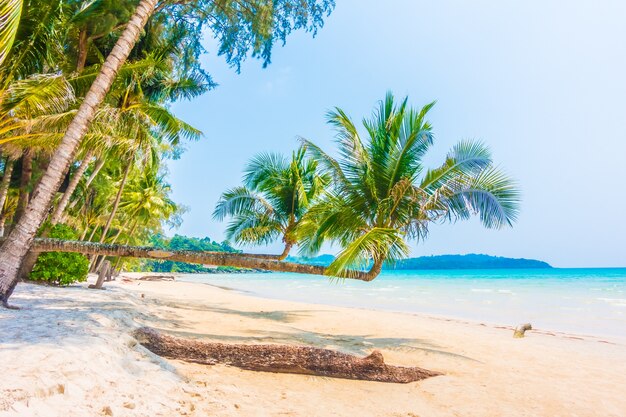oceaan hemel Caribische paradijs vakantie