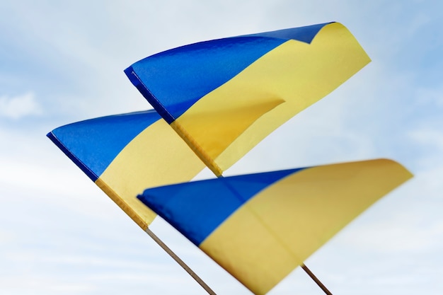 Oekraïense vlaggen zwaaien