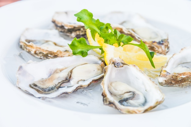 Gratis foto oesters