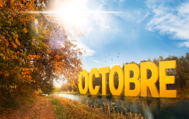 Oktoberlandschap met gekleurde bladeren