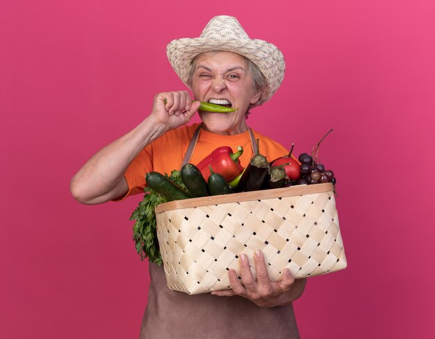 Onaangename oudere vrouwelijke tuinman die tuinierende hoed draagt die groentemand houdt en doet alsof hij hete peper op roze bijt