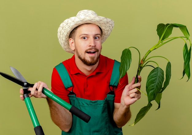 Gratis foto onder de indruk jonge knappe slavische tuinman in uniform en hoed met plant en snoeischaar kijken naar kant geïsoleerd op olijfgroene muur