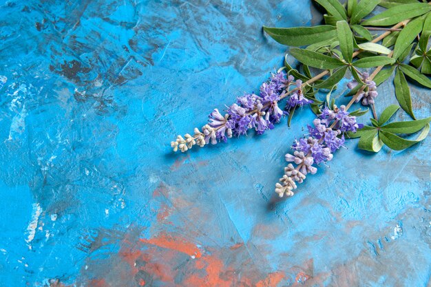 Onderaanzicht paarse bloemtak op blauwe tafel vrije ruimte