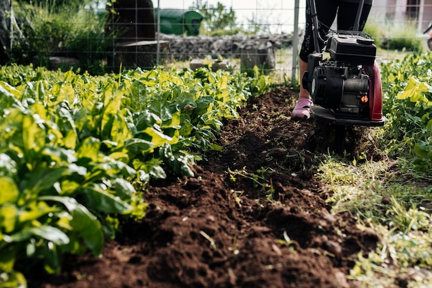 Onderaanzicht tuinman werken