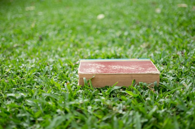 Onderwijs concept - Boeken op gras liggen