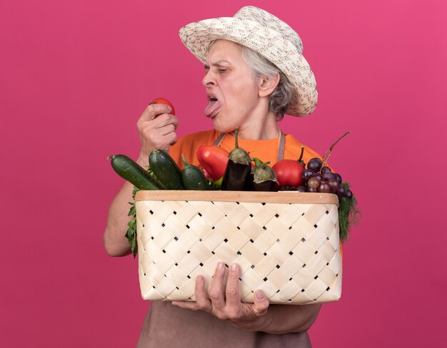 Ontevreden oudere vrouwelijke tuinman die een tuinhoed draagt, steekt zijn tong uit terwijl hij een groentemand vasthoudt en naar tomaat kijkt