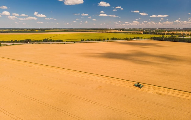 Gratis foto oogstmachine aan het werk in het veld bovenaanzicht van de drone maaidorser landbouwmachine rit in het veld