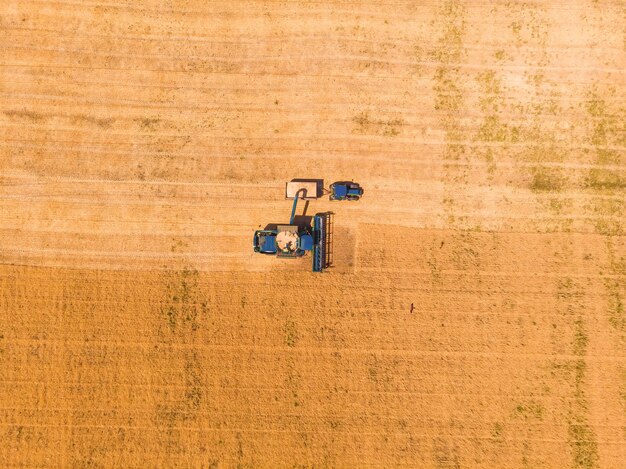 Oogstmachine aan het werk in het veld Maaidorser landbouwmachine oogst gouden rijpe tarweveld