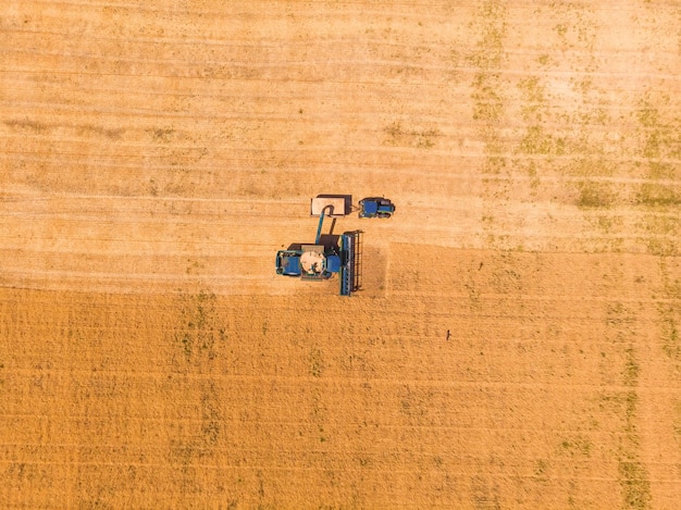 Oogstmachine aan het werk in het veld Maaidorser landbouwmachine oogst gouden rijpe tarweveld