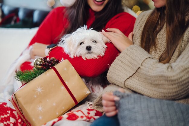 Op oudejaarsavond zitten twee meisjes met een kleine hond op de bank.