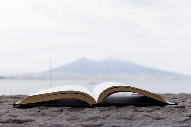 Open boek bij de zee