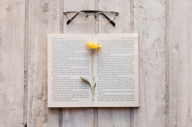 Open boek met bloem binnen en glazen