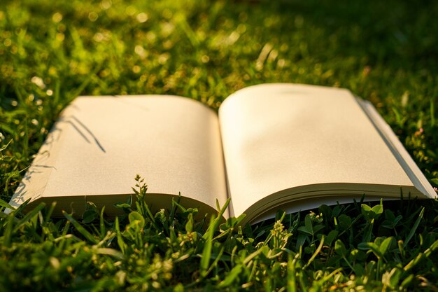 Open boek op het gras