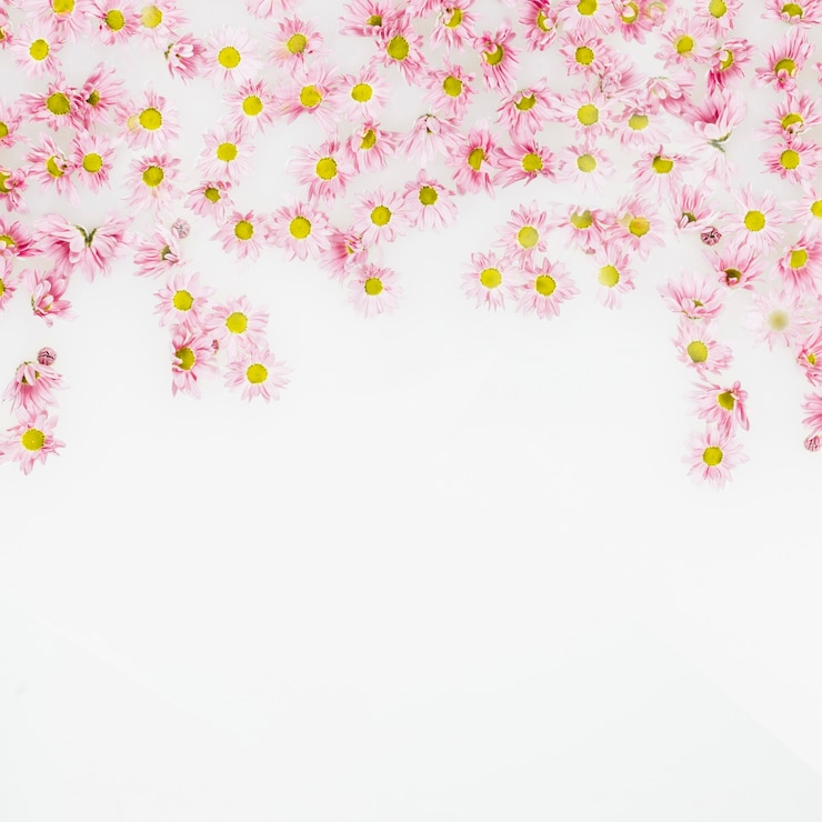 Gratis Foto opgeheven mening van mooie roze bloemen op witte achtergrond
